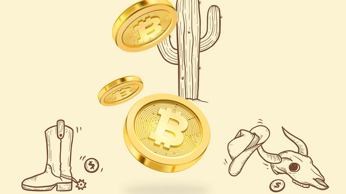 MIT grad brothers' trial puts focus on 'Wild West of crypto'